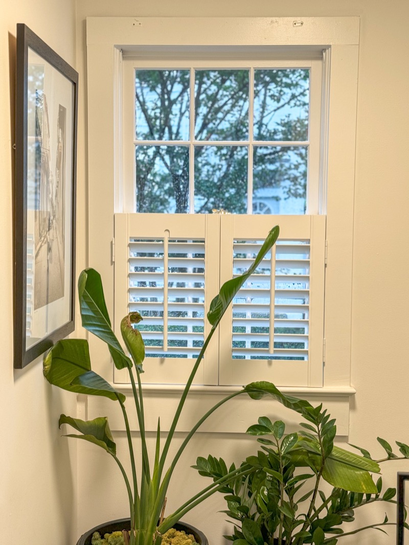 Cafe-style plantation shutters with natural light streaming into a Charleston home