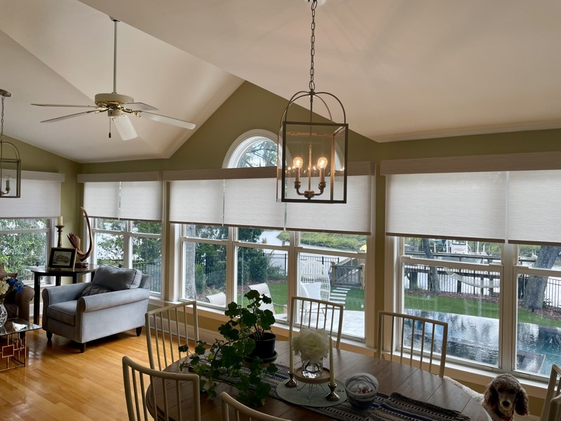 Solar roller shades filtering natural light in a Mount Pleasant home office